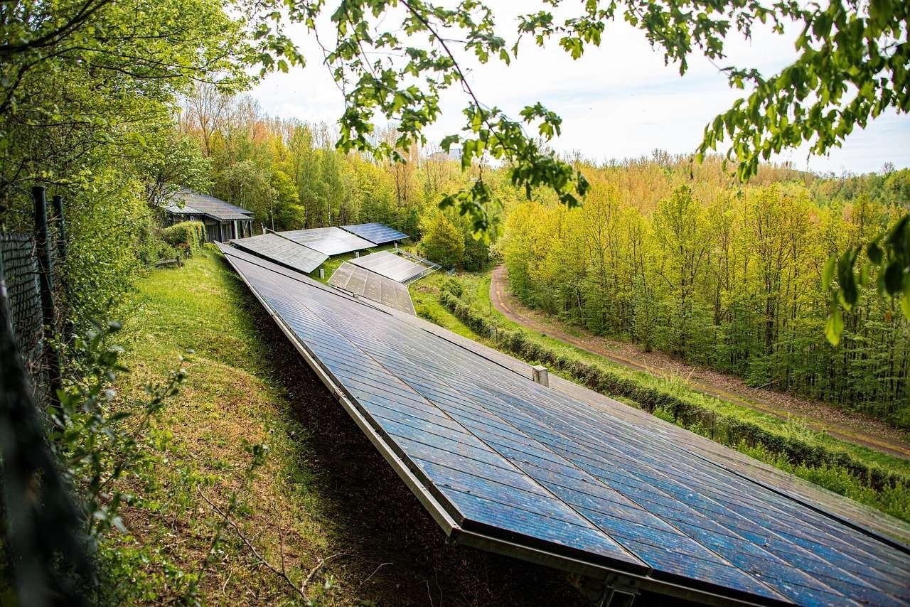 Community Solar Panels Woods, YSG Solar