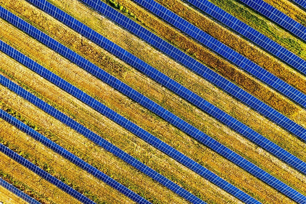 The Ultimate Solar Farm FAQ, Solar Farm in Field, YSG Solar